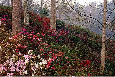 《守望先锋2》总监解释取消PvE原因：愿景太大无法实现